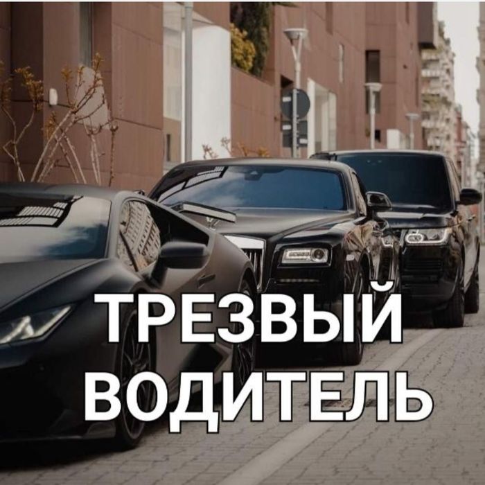 Трезвый водитель