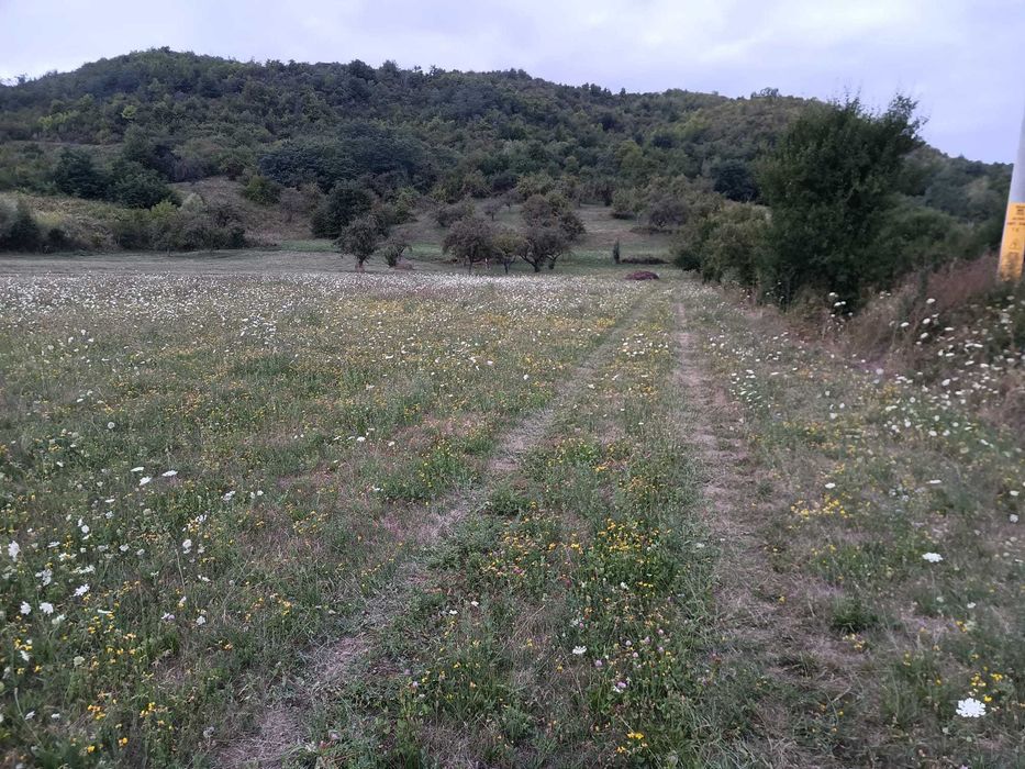 Teren intravilan Casin, strada Mocanitei, suprafata 2100mp