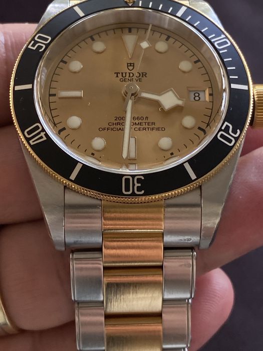 Tudor Black Bay aur/otel
