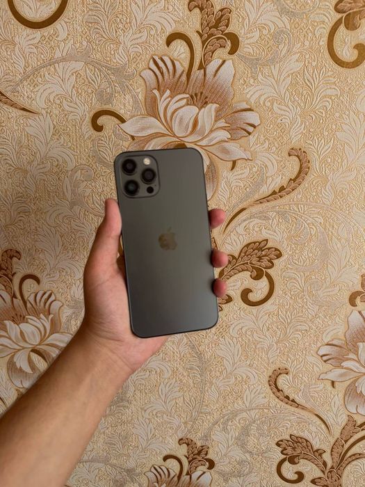 iphone 12 pro max