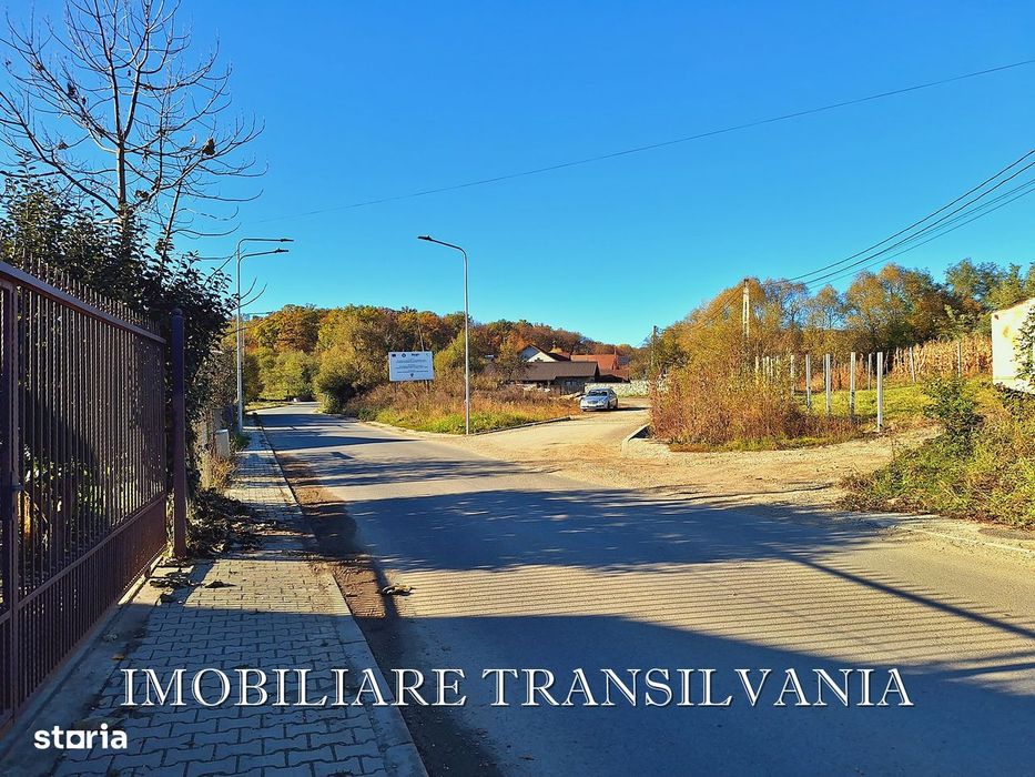 Teren extravilan, 620 mp - Dr. Tarpiului, Leoni