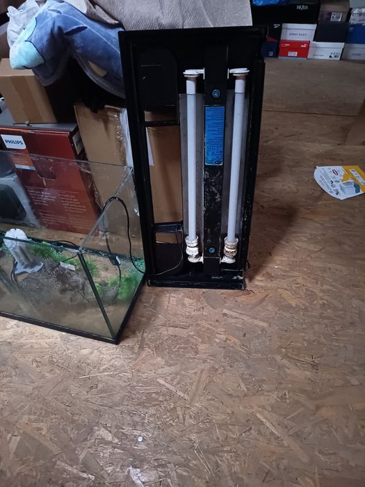 Acvariu pești sau broscute