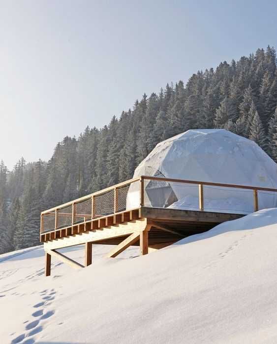 Cort special, glamp, iglu