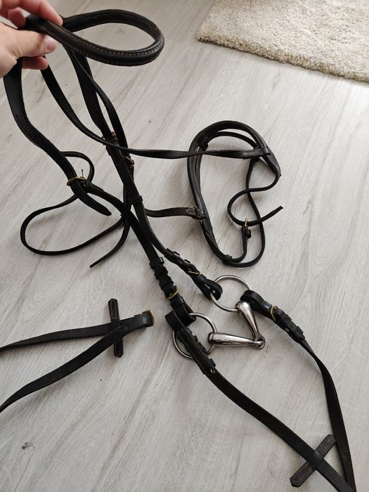 Căpăstru echitație complet cu hățuri și  zăbala inox Feeling