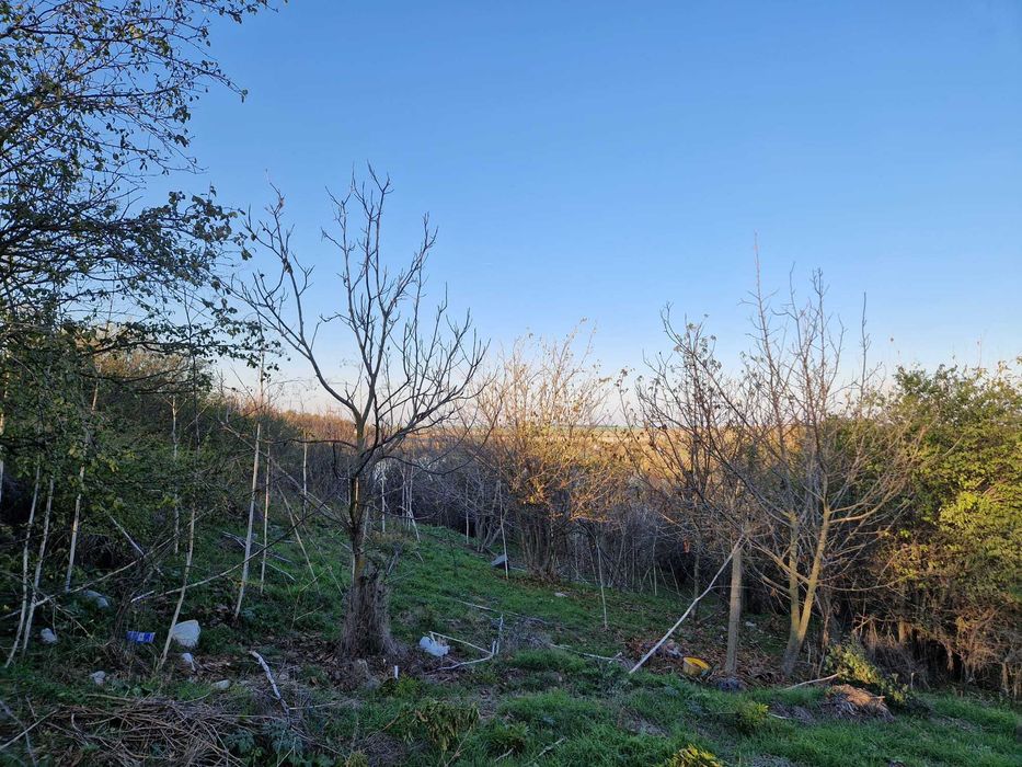 Refugiu la 1h de Bucuresti - 60m deschidere la apa, casa sau glamping