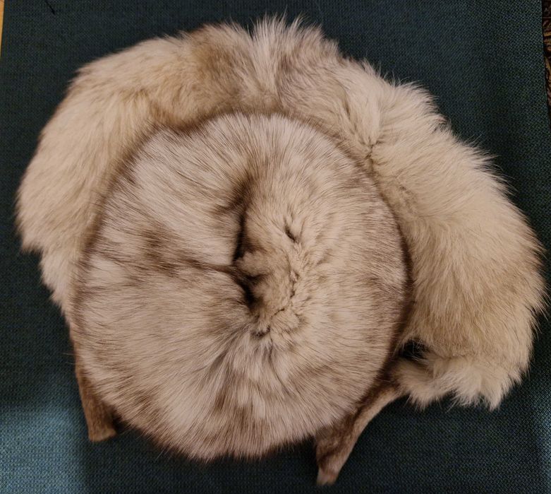 Set nou caciula si guler vulpe polara, blana naturala