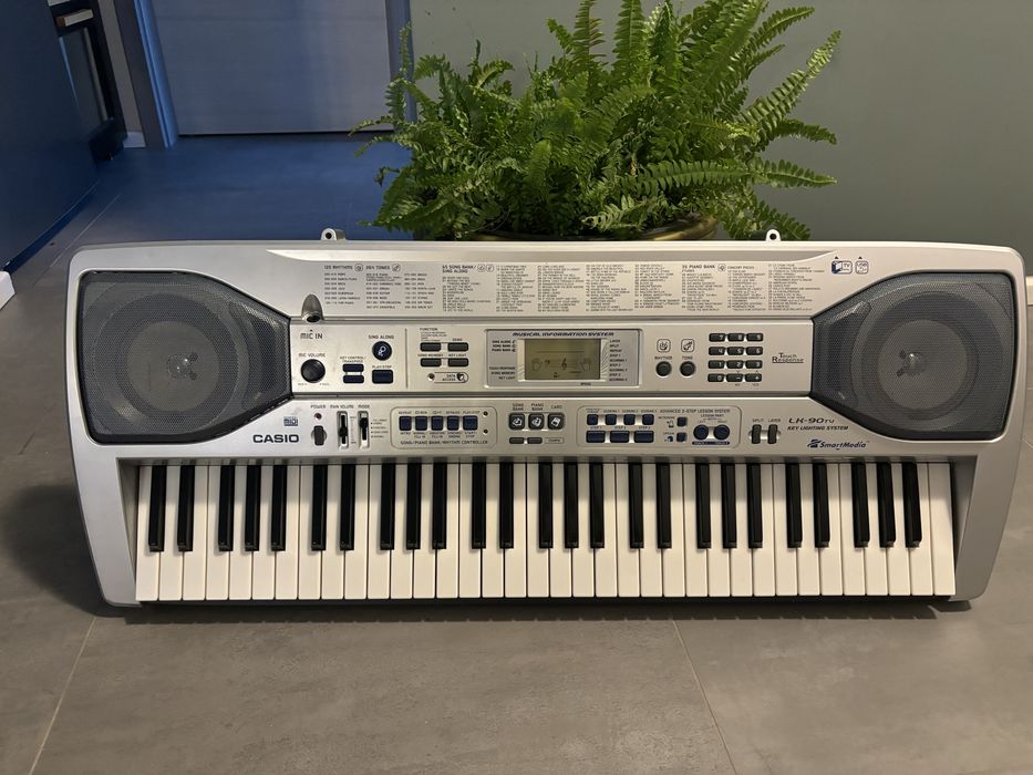 Vand orga Casio, pret 500 lei