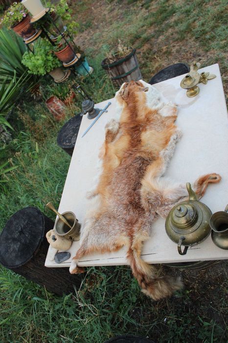 Яка / кожа на лисица