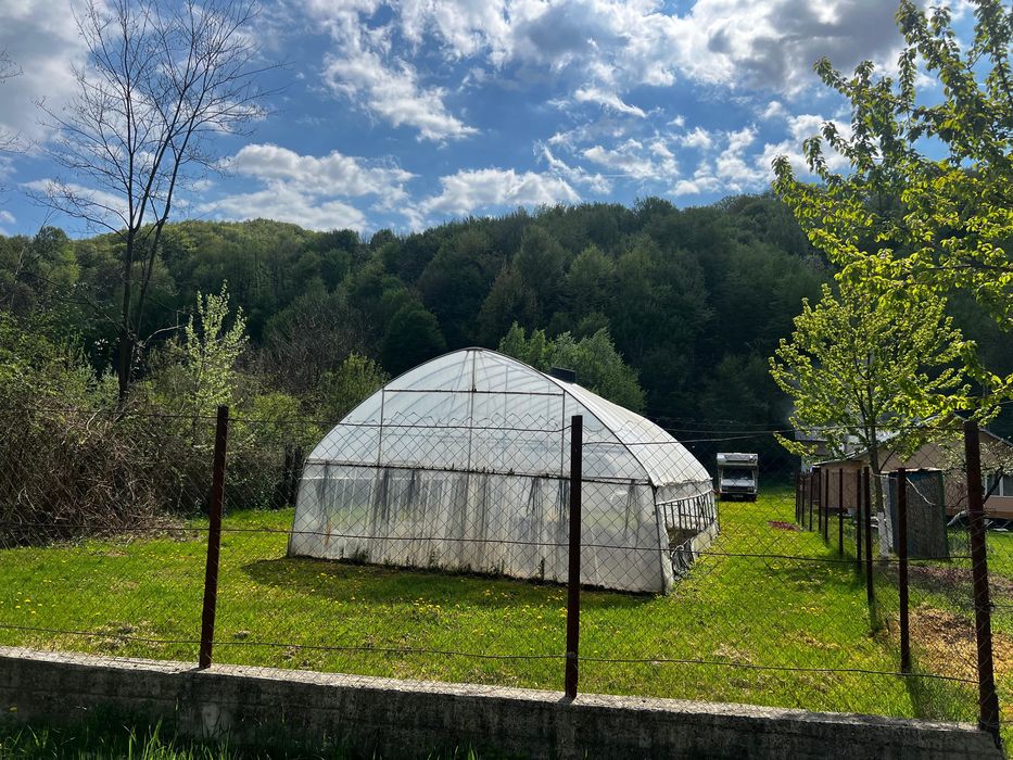 De vanzare teren Telega