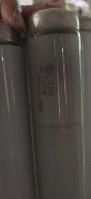 Лампа люминесцентная.