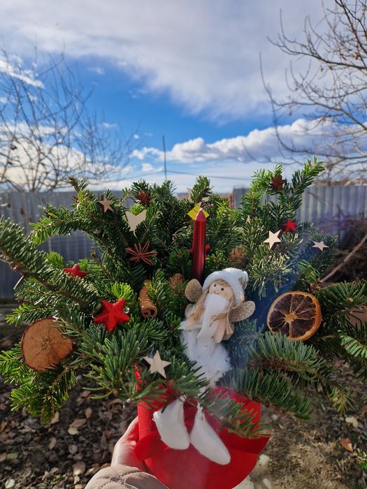 Oferta Black Friday! 7 nov-14 nov. Decoratiune din brad natural