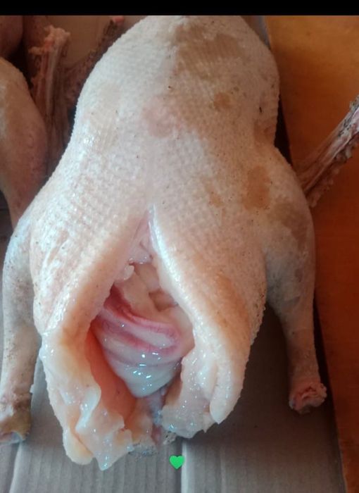 Продам гусей тушку