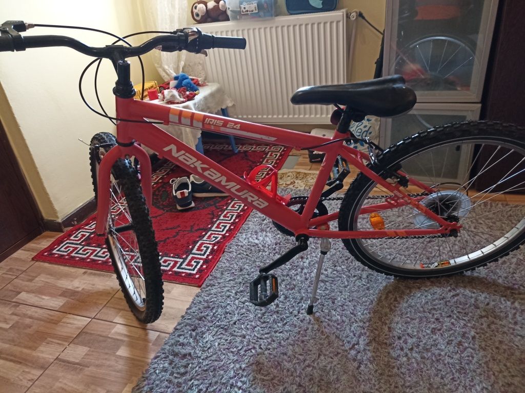 Bicicleta iris 24