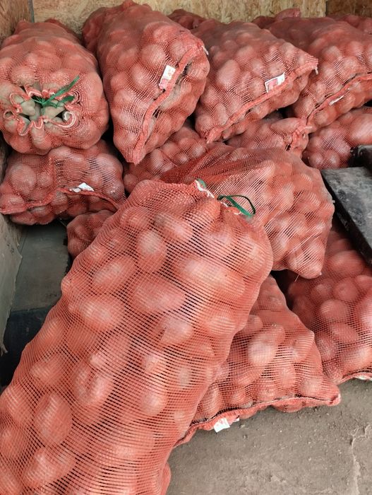 Отборная картошка красная (Текели)Кг250 тенге