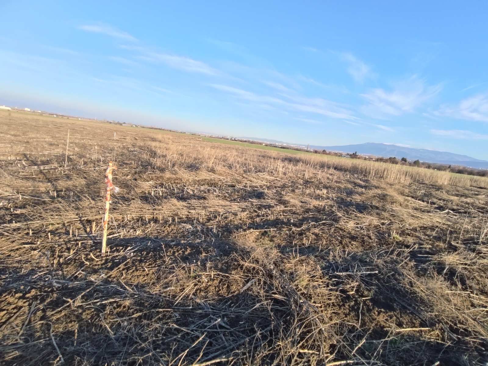 Продава се УПИ в с. Пролеша