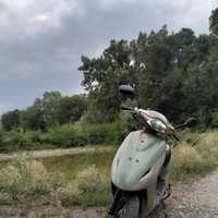 Honda dio 56 обмен