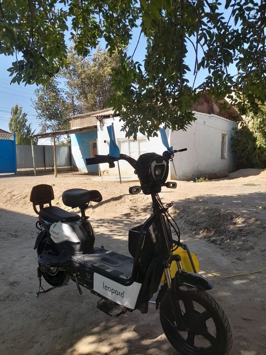 Леопард обмен бар