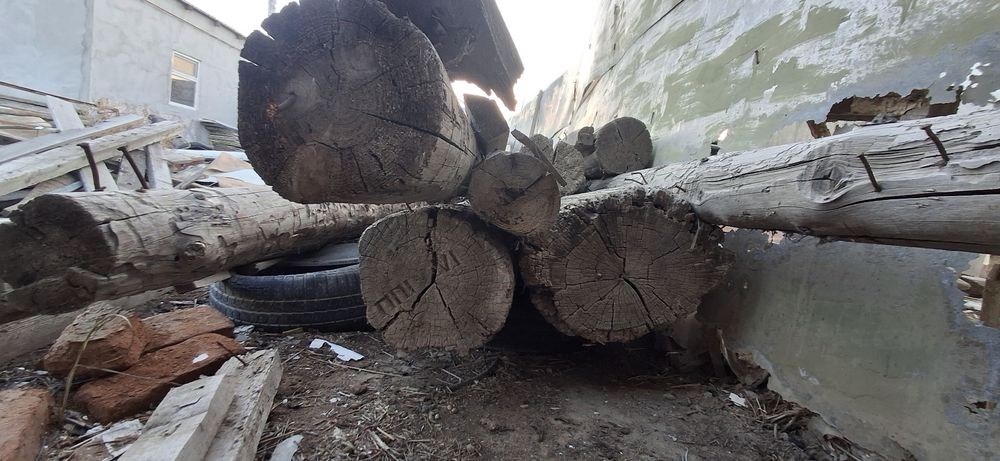 Кругляк тастама ..