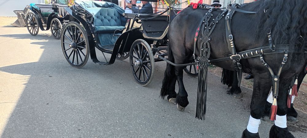 Vând trăsură Victoria