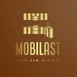 Caut Tamplar - Mobilast Romania
