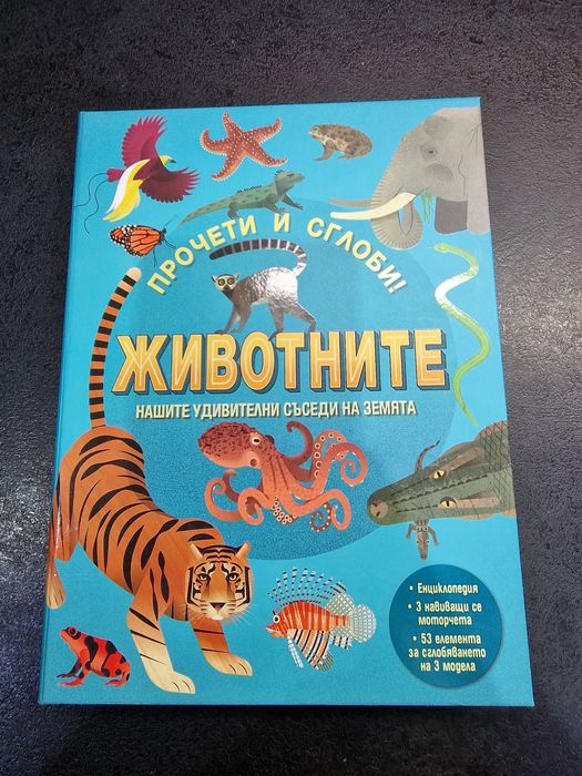 Детска енциклопедия