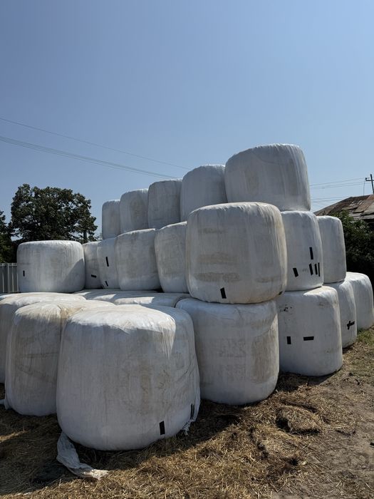 Baloti Infoliati de Siloz