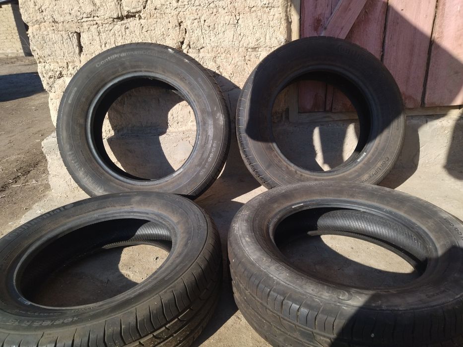 Летный донгелектер