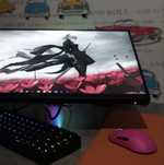 Монитор msi 25" MSI MAG 255PXF