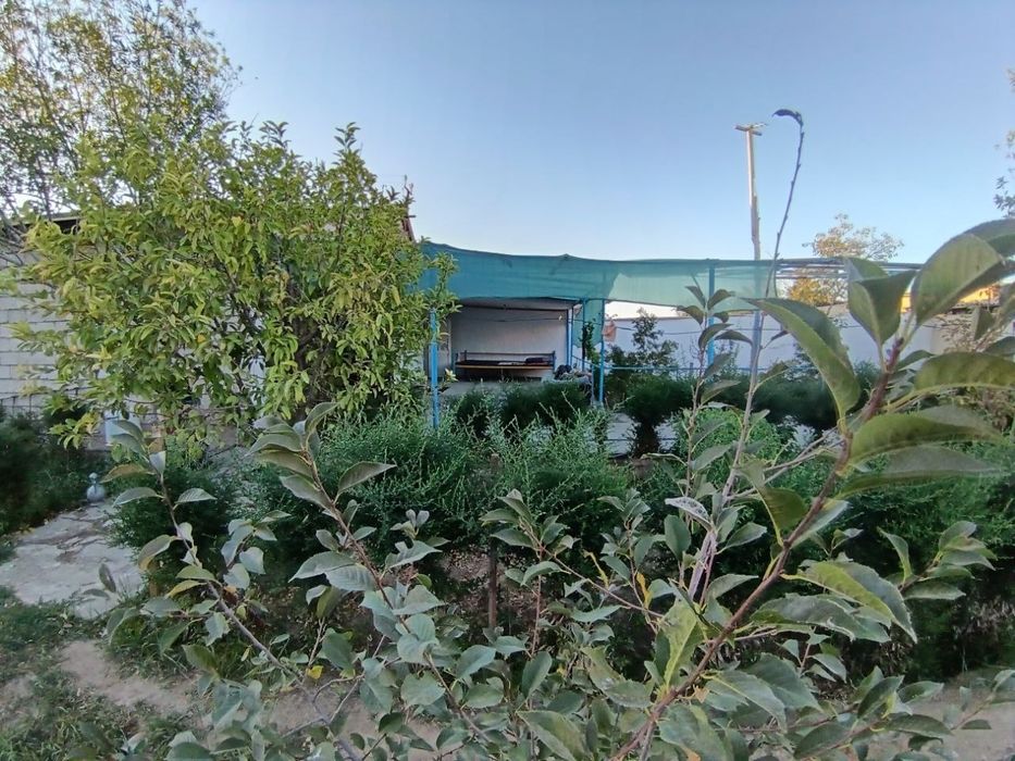 Срочно!!! Арзон нархда дача сотилади хамма хужжатлари БОР