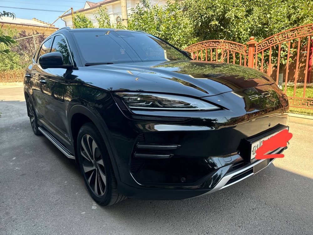 Byd Champion 605km