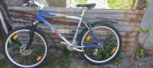 Bicicleta adulți