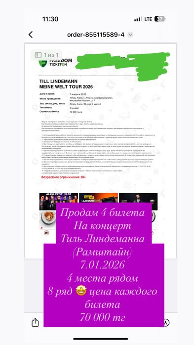 Продам билет на концерт Тиль Линдеманна