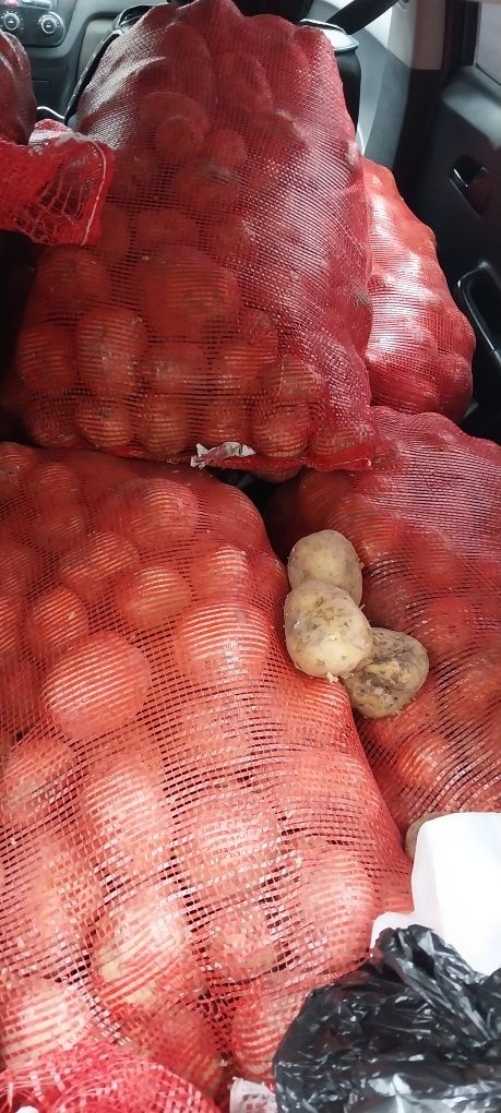 Продаю картофель по 130 тг за кг доставка по городу до подьезда