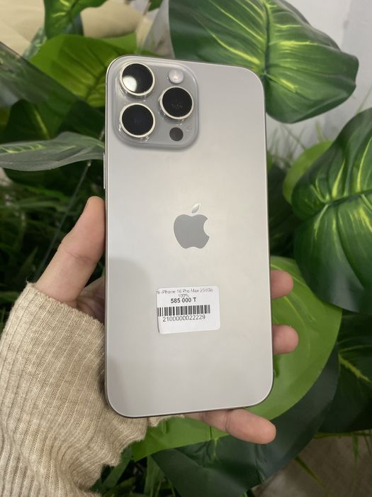 iPhone 16 Pro Max 256Gb 100%