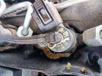 injectoare BMW cod 7798446 n47