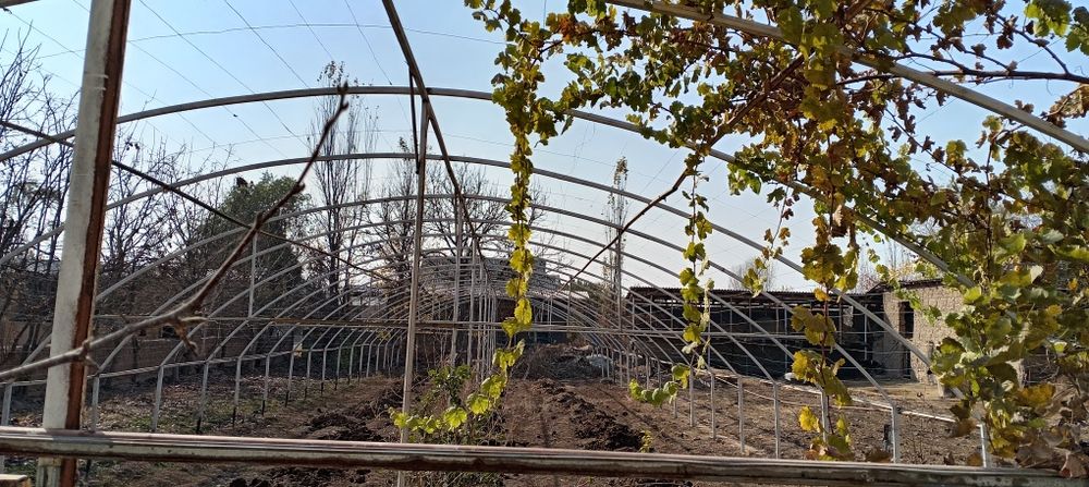 Issiqxona.sotiladi yoki bulib tulashga bervoraman