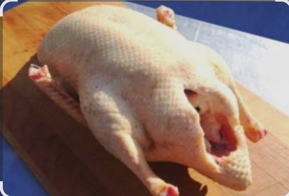 Продам тушки гусей