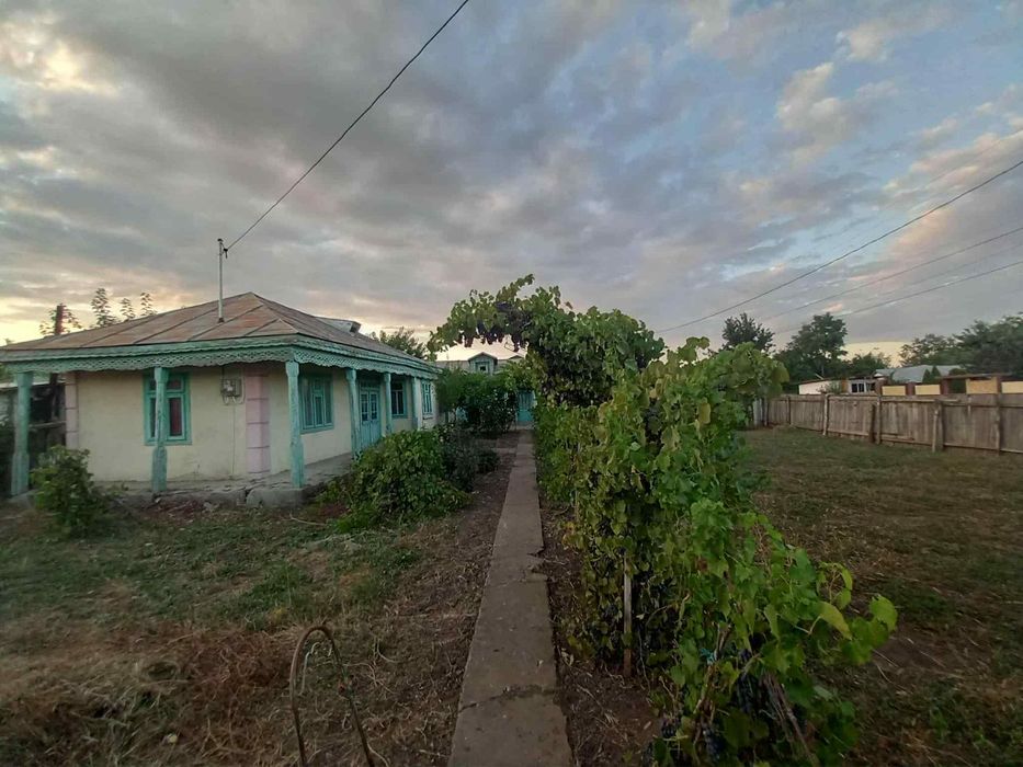 Casa batraneasca de vanzare Tudor Vladimirescu