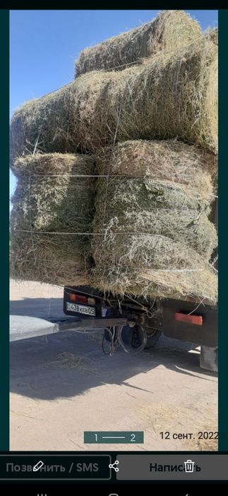 Сено люцерна жоношка урлон жоношка