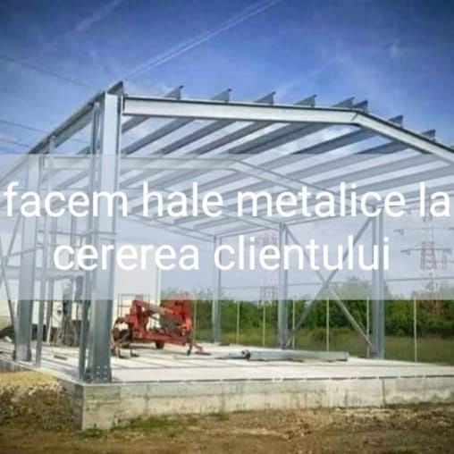 Vand hala metalica 15 x 20