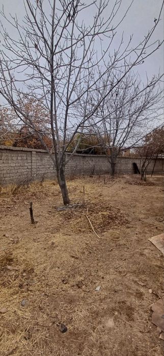 Продаю свою землю