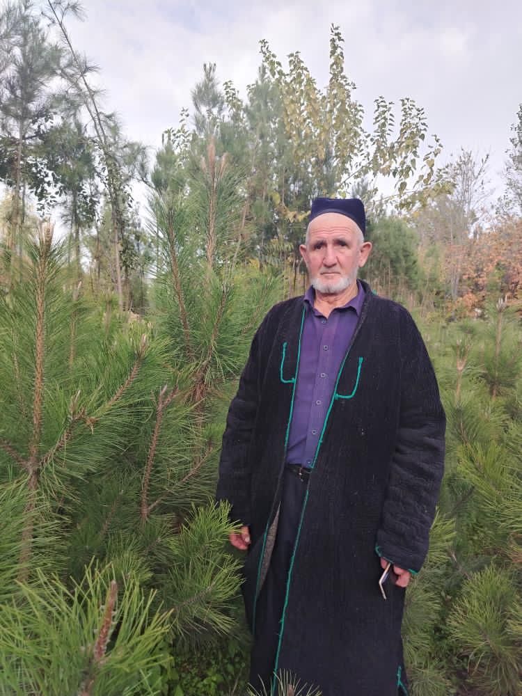 Archa qirim kelishamz