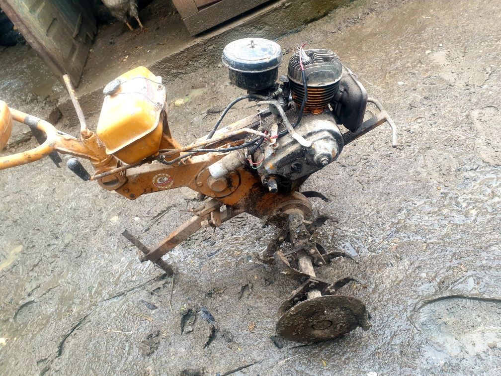 Motosapa defecta