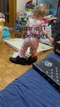 Ajutor cu telefoanele mobile, PC, laptop-uri - Ios, Windows, Mac OS X