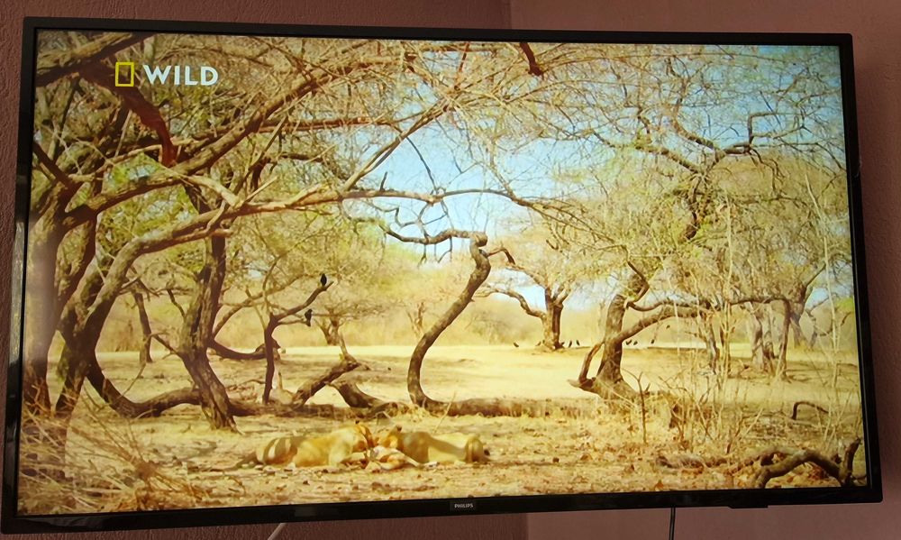 Телевизор Philips 43PUS7505/12