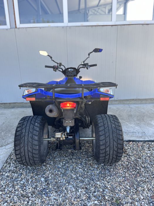 Atv E ton Vector 250cmc (nu kymco sym linhai bashan)