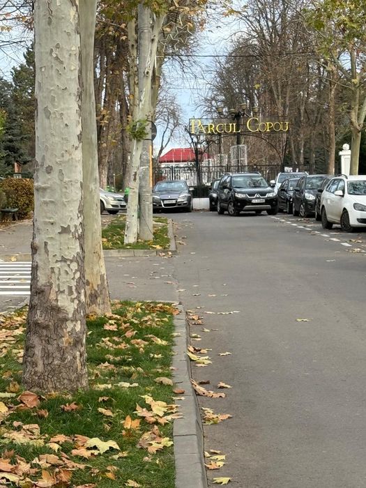 Apartamente.  Duplex la casa de închiriat la întrare in Copou , lângă