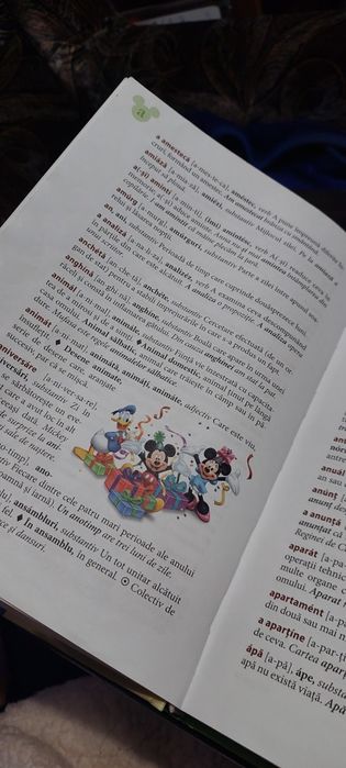 Dicționar explicativ ilustrat al limbii române clasele I-IV