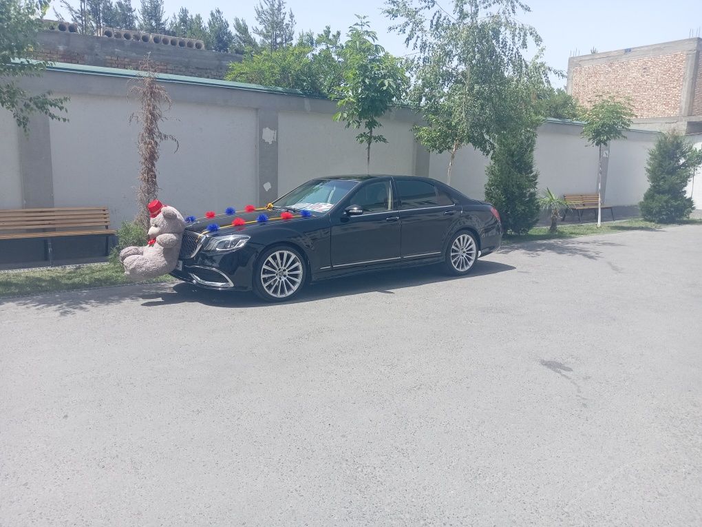 Той маросимлар учун