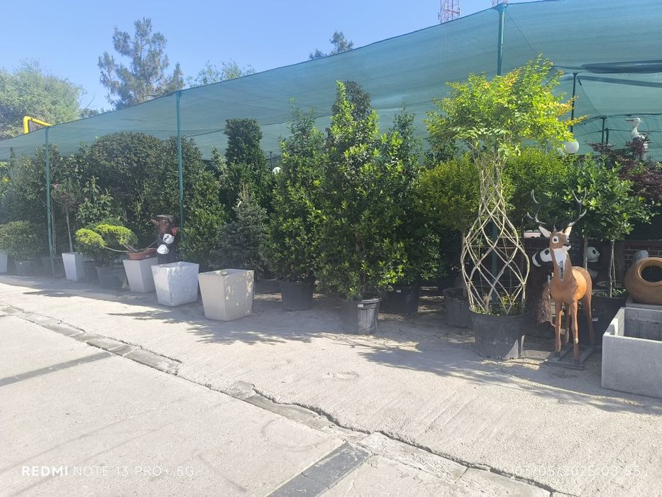 Gazon landshaft palift mkra klemint setka tortish